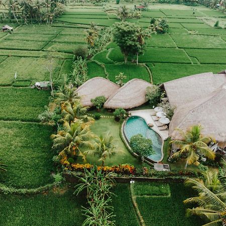 Villa Omah Padi Ubud Εξωτερικό φωτογραφία