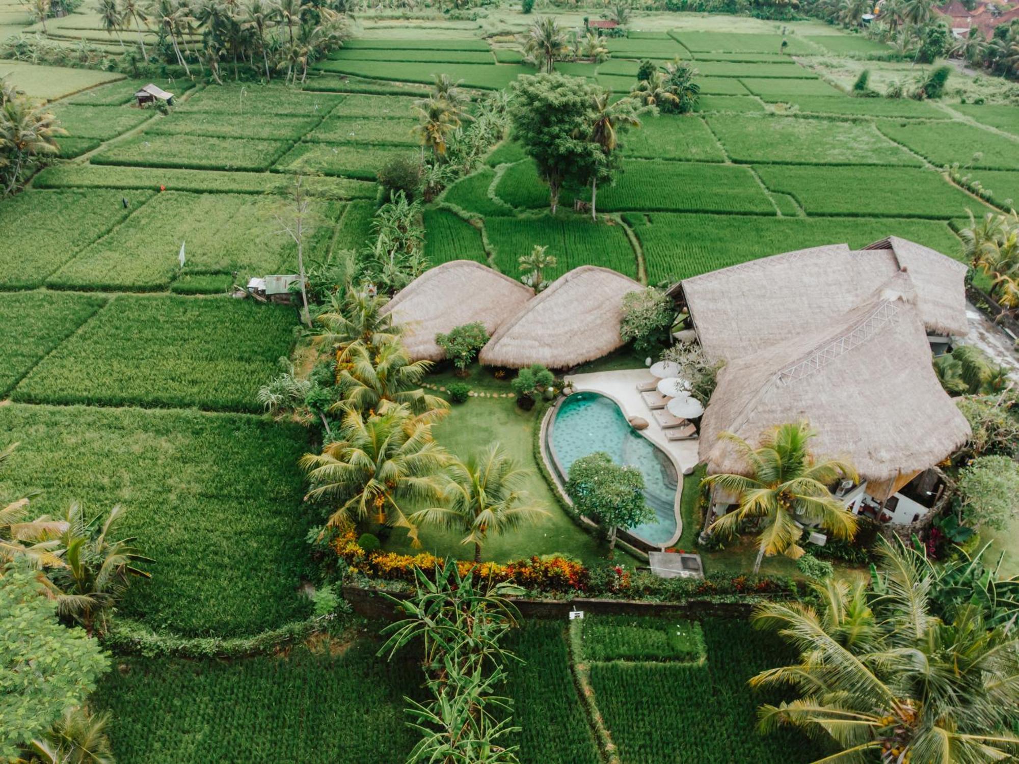 Villa Omah Padi Ubud Εξωτερικό φωτογραφία